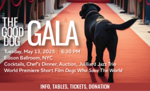 Horizontal image of black dog on red carpet. Text: "The Good Dog Gala. Tuesday, May 13, 2025 6:30 PM. Edison Ballroom, NYC. Cocktails, Chef's Dinner, Auction, Juilliard Jazz Trio World Premiere Short Film Dogs Who Save The World".