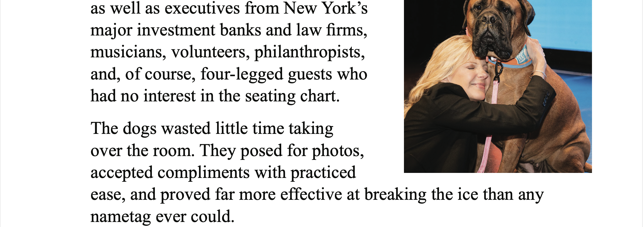 White background, two paragraphs of black text. On right photo of a large brown dog with a white woman with blond hair hugging the dog around the front. Text “as well as executives from New York's major investment banks and law firms, musicians, volunteers, philanthropists, and, of course, four-legged guests who had no interest in the seating chart. The dogs wasted little time taking over the room. They posed for photos, accepted compliments with practiced ease, and proved far more effective at breaking the ice than any nametag ever could.”