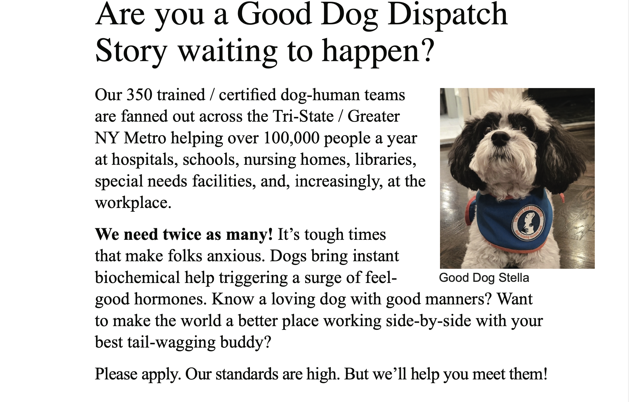 White background with three blocks of black text. Title text, “Are you a Good Dog Dispatch Story waiting to happen?” Photo on right is a black and white dog wearing a blue bandana with Good Dog logo. Text, “Our 350 trained / certified dog-human teams are fanned out across the Tri-State / Greater NY Metro helping over 100,000 people a year at hospitals, schools, nursing homes, libraries, special needs facilities, and, increasingly, at the workplace. We need twice as many! It's tough times that make folks anxious. Dogs bring instant biochemical help triggering a surge of feel- Good Dog Stella good hormones. Know a loving dog with good manners? Want to make the world a better place working side-by-side with your best tail-wagging buddy? Please apply. Our standards are high. But we'll help you meet them!”